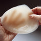Nearly Me Triangle Shell | Ivory | #251
