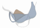 TruLife Luna - Asymmetrical Fiberfill #622